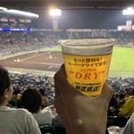 阪神甲子園球場 - 