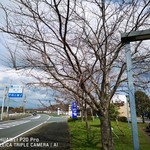 道の駅 多古 - 