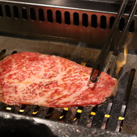 焼肉ホルモン 稲田 - 