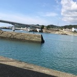 イワシの目 - 古座の港