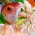 Umi No Sachi Shokudokoro Echizen - １年を通じて新鮮獲れたて海の幸をお楽しみください。ノド黒、甘鯛、越前かれい、ササガレイ、アンコウ、バイガイ、甘エビ、ガマエビ、バイ貝などどれもとっても美味しいお魚なので、是非味わってみて下さい。お店でしか味わえない旬の活魚料理もいろいろ取り揃えています。
