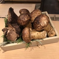 料理屋 植むら - 