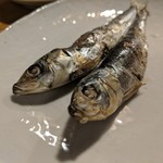 天史朗鮨 - 自家製干物　マイワシ