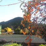 パン工房 シロクマ - 通称　くるみの山