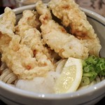 うどん和匠 - 鶏天ぶっかけうどん 750円