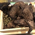 旬菜 おぐら家 - 香茸