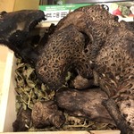 旬菜 おぐら家 - 香茸