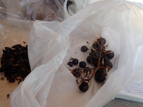 野菜畑 ゆりあげ港朝市 - 美田園（その他）の写真