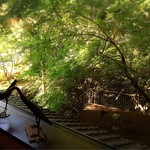 すみや亀峰菴 - ライブラリーからの景色♡