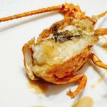 シャトー　ラ・パルム・ドール - 活伊勢海老 頭アップ