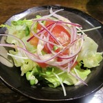 レードル - ハンバーグカレー の サラダ