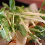 小さな森の喫茶店　レストラン　ワイルドダック - 