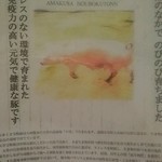 酒膳亭　松ノ木 - 