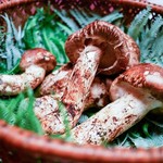 緒方 - 丹波産 松茸