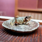 緒方 - ☆琵琶湖の鮎