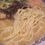 博多らーめん 四神 - 麺のアップ（標準でバリカタぐらいか）