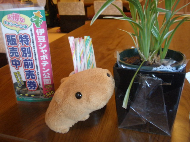 『東海館』喫茶室 name=
