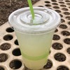 PacifiKool - ドリンク写真:Island Ginger Ale $3.00