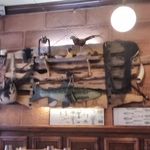 City Merchant - 内装。魚フィーチャー。