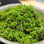 日本料理 晴山 - 