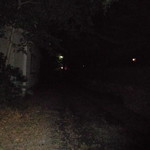 麺王  - 外観（隣が神社）