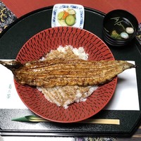 菊乃家 - うなぎ大名
