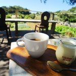 アーセンプレイス - ドリンクと平日ランチにはデザート付き。
      この日は特別にプリンが提供されましたが、これは数に余裕がある時だけのサービスらしいです。