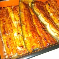 うなぎ川勢 - 