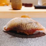 はっこく - 2018.9.  鰯