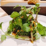 はっこく - 2018.9.  ケールとクレソン はっこくドレッシングがけ