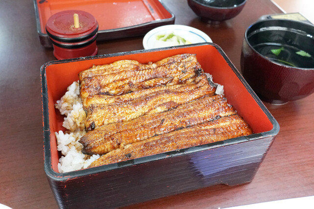 御食事処 スズキ 新横浜 うなぎ 食べログ