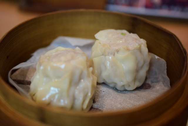 Guuguu Mammoth photo 2