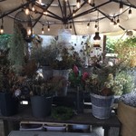 アルティジャーナ ロッソ - 