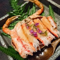 小熊 - 