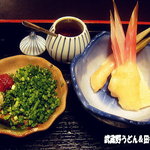 手打ちうどん　 いしづか - 2011年9月　薬味がお洒落