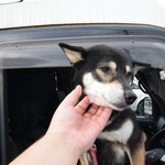 ピッザピッザピッザ - 