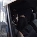 ピッザピッザピッザ - 