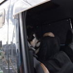 ピッザピッザピッザ - 