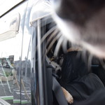 ピッザピッザピッザ - 