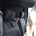 ピッザピッザピッザ - 