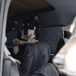 ピッザピッザピッザ - 