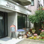 Danae - 