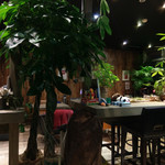 $$cafe Bronx Moment Wag - 