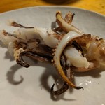 天史朗鮨 - いかげその自家製干物