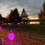 タリーズ コーヒー - 2018/10 長野県北佐久郡軽井沢町にある西武プロパティーズが運営するショッピングモール 軽井沢・プリンスショッピングプのツリーモール。ハロウィン イルミネーション開催♪