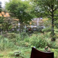 万平ホテル メインダイニングルーム - 2018/10 ダイニングルームからの中庭