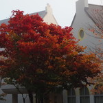 マウレ山荘 - 紅葉