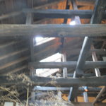 花の雲 - 露天風呂の天井