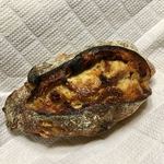 パンやきどころ RIKI - マンゴーオレンジ72 ¥260+税