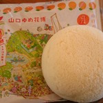 Kudamatsu Sabisu Eria No Borisen Shoppingu Kona - 